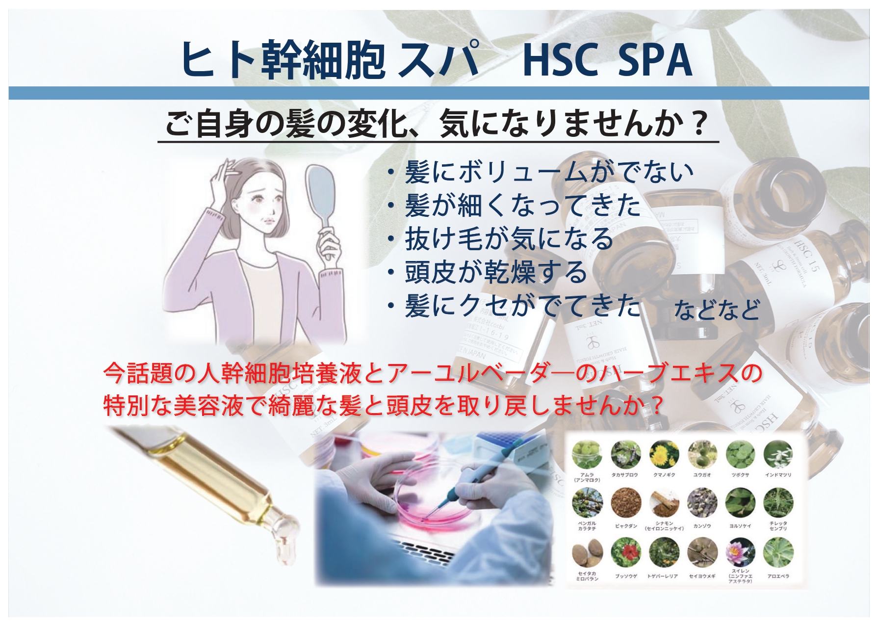 HSC 強髪